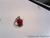Key Chain Morellato in Acero SD7182 - SD7182